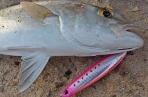 Press Bait Fusion 90  AFA0011 / Sardine