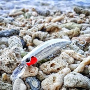 Spearhead Ryuki 110S  ADA4068 / Yamame Red Belly