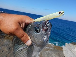 Bay Ruf Manic 95  CLB0230