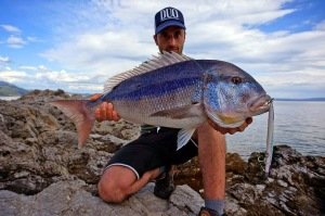 Press Bait Saira  ADA0213 / Ocean Bait