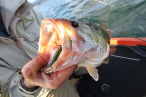 Decoy Worm23 Body Hook Delikli İğne BN #5 (9 Adet)