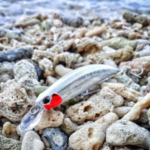 Spearhead Ryuki 110S SW AHA0011 / Sardine