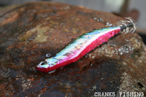 D-Squid AJA0352 / Hot Lips