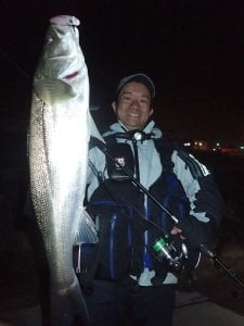 Tailwalk Hi-Tide TZ S88M+ 2,64mt. / 12-42gr.