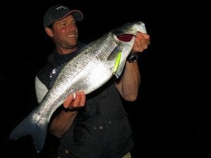 Terrif DC- 9 Bullet  ADA0213 / Ocean Bait