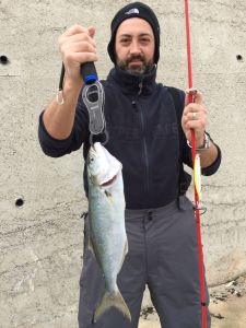 Terrif DC-12 Type 1  AJA3062 / Tequila Halo