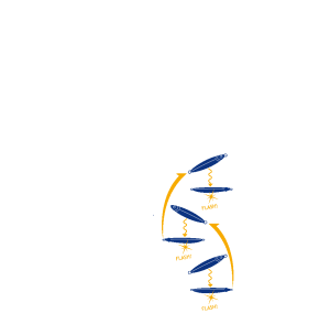 MC Jigpara First Jig Slow 130 gr #4