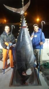 Cuda 18137 Carbob Fiber Gaff 6ft