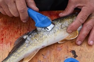 Cuda 18115 Fish Descaler