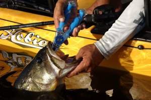 Cuda 18846 7.5'' Mono/Braid Fishing Plier Wire Cutter