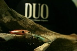 Tetra Works İkakko  CCC0467 / Leprechaun