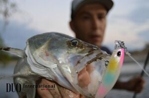 Duo Terrif DC- 7 Bullet CCC0155 Rabbit Fish