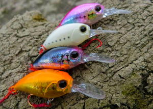 Tetra Works Kurakura  GQA0122 / Black Back Gb