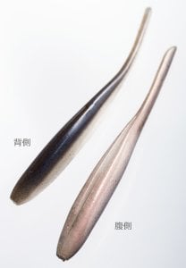 Keitech Shad Impact 4'' #420 Pro Blue / Red Pearl