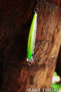 Spearhead Ryuki 45S MCC4036 / Rainbow Trout