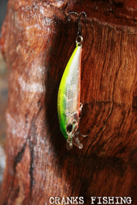 Spearhead Ryuki 45S MCC4036 / Rainbow Trout