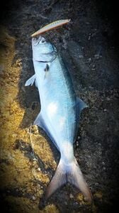 Duo Tide Minnow Slim Flyer 140 CQN0969 Candy UV Silver