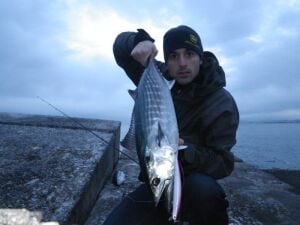 Duo Tide Minnow Slim Flyer 175 CQN0969 Candy UV Silver
