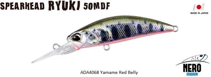 Spearhead Ryuki 50MDF  ADA4068 / Yamame Red Belly