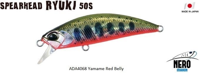 Spearhead Ryuki 50S  ADA4068 / Yamame Red Belly