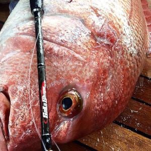 Tailwalk SSD Jig Force C603/FSL SETOUCHI EDITION 1.83mt. / Max. 240gr.