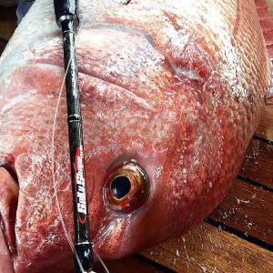 Tailwalk L-Jiggys Kamış SSD C631